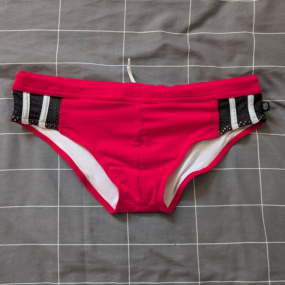 Timoteo Swim Briefs With Mesh Panels